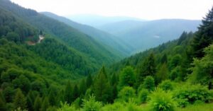 Annandale Shimla